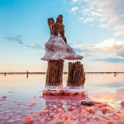 地表锻造bt版下载
